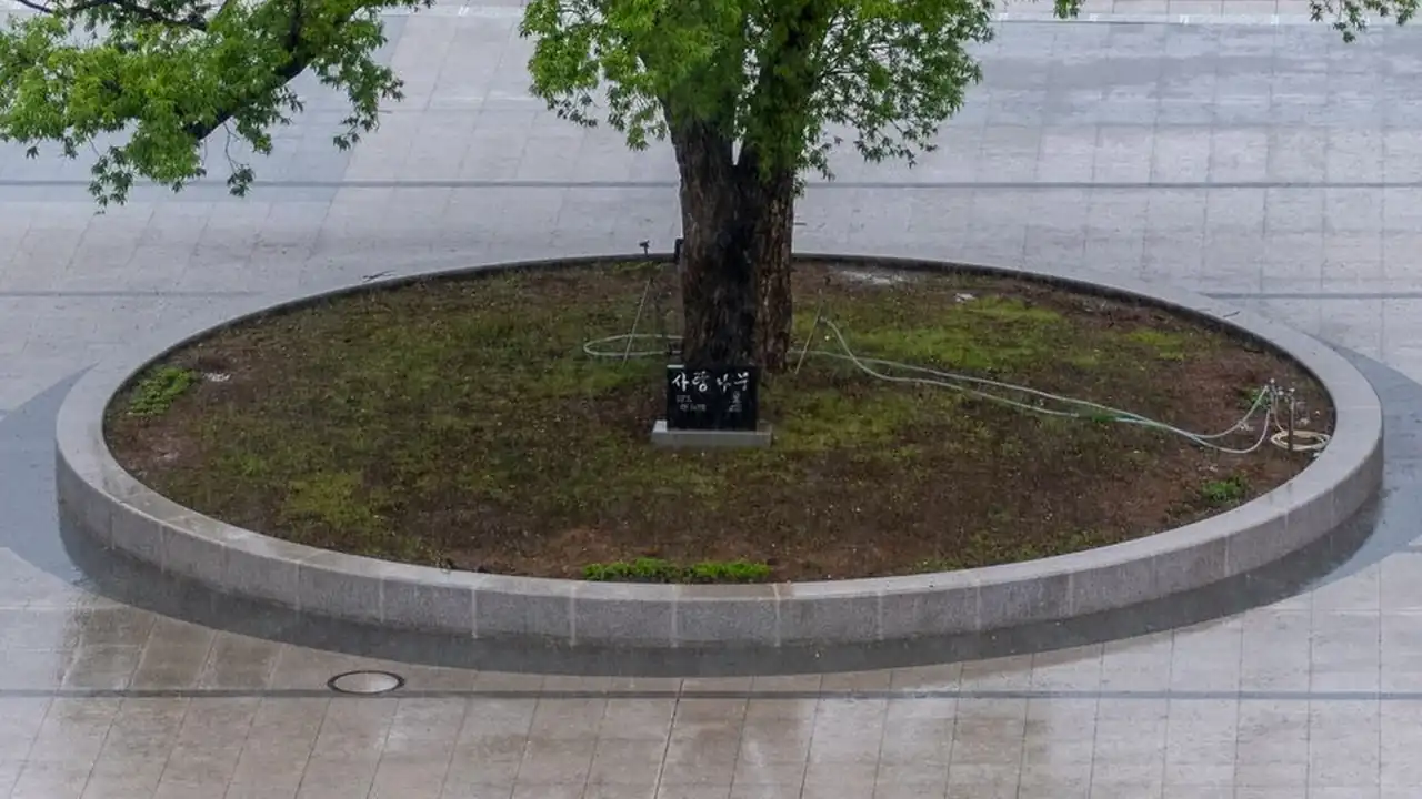 .9.1免费版安装截图1